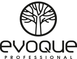 EVOQUE_logo_2_ЧЁРНЫЙ под размер.png
